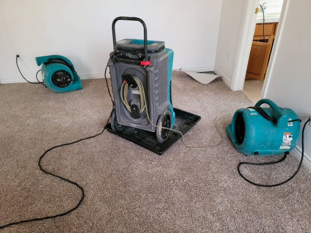 Best Water damage restoration near me  in Merritt Park, NY