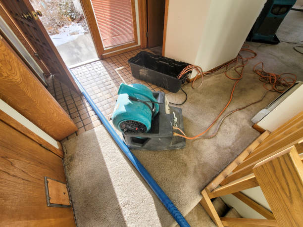 Best 24/7 water damage repair  in Merritt Park, NY