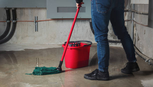 Best Ceiling water damage repair  in Merritt Park, NY