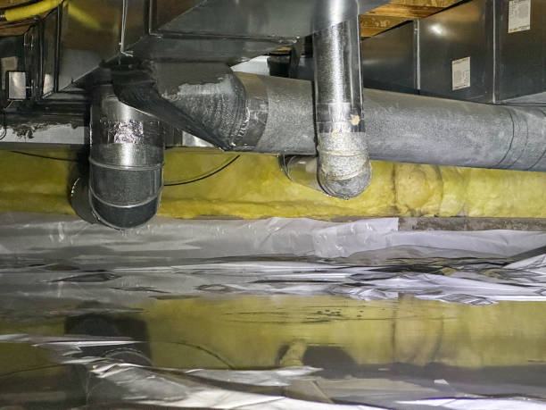 Best Local water damage restoration  in Merritt Park, NY