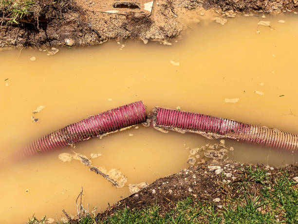 Best Professional water damage repair  in Merritt Park, NY